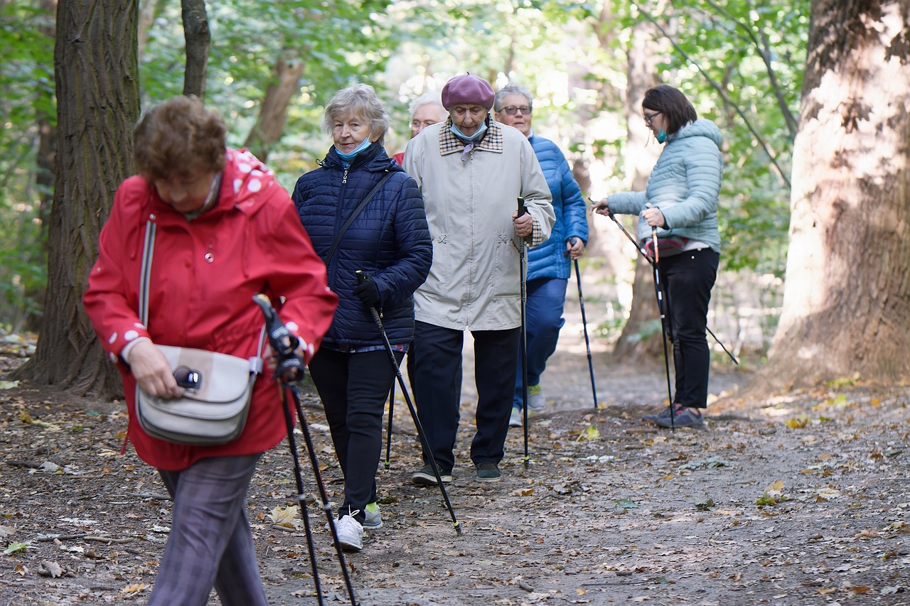 Tips for Traveling with Senior Pets